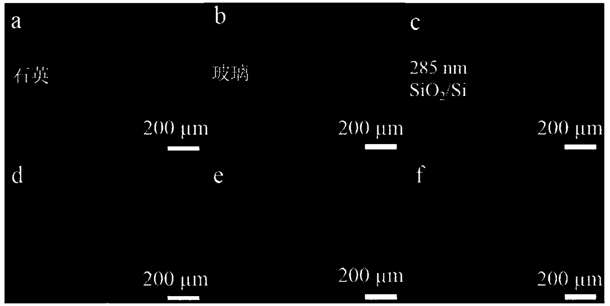 A method for optical visualization of two-dimensional atomic crystal materials on substrate surfaces