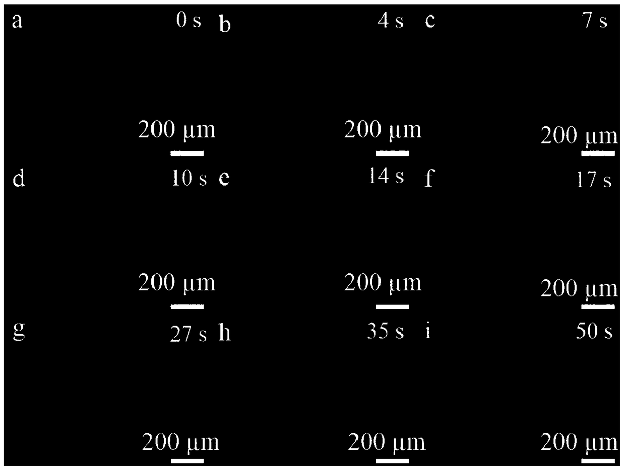 A method for optical visualization of two-dimensional atomic crystal materials on substrate surfaces