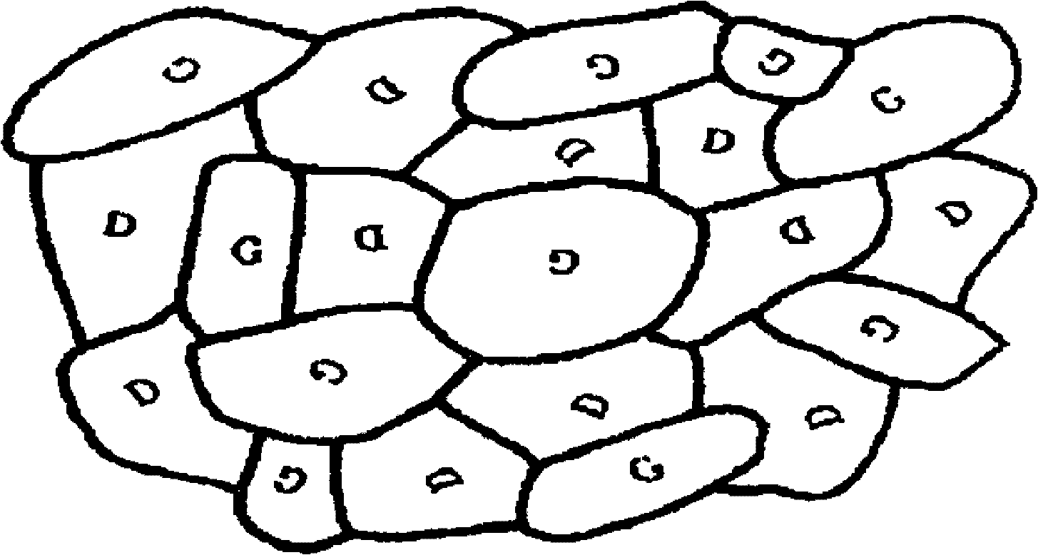 Heat-emitting graphite material comprising amorphous carbon particles and a production method therefor