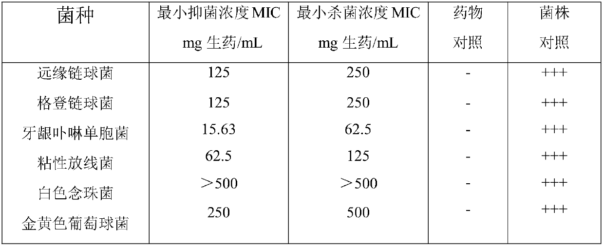 Chinese herbal medicine plant oral care composition and preparation method and application method thereof