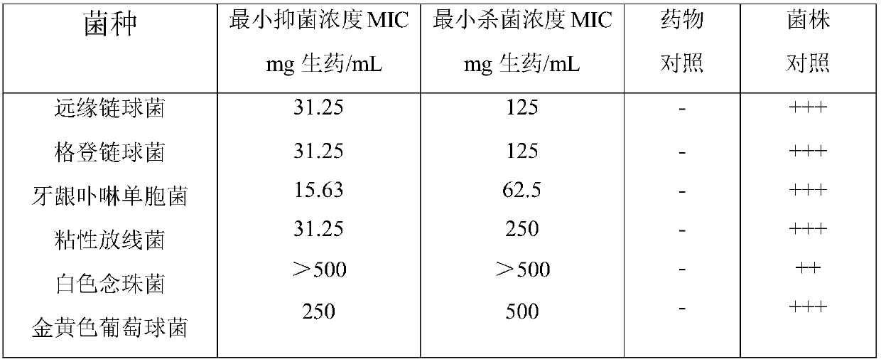 Chinese herbal medicine plant oral care composition and preparation method and application method thereof