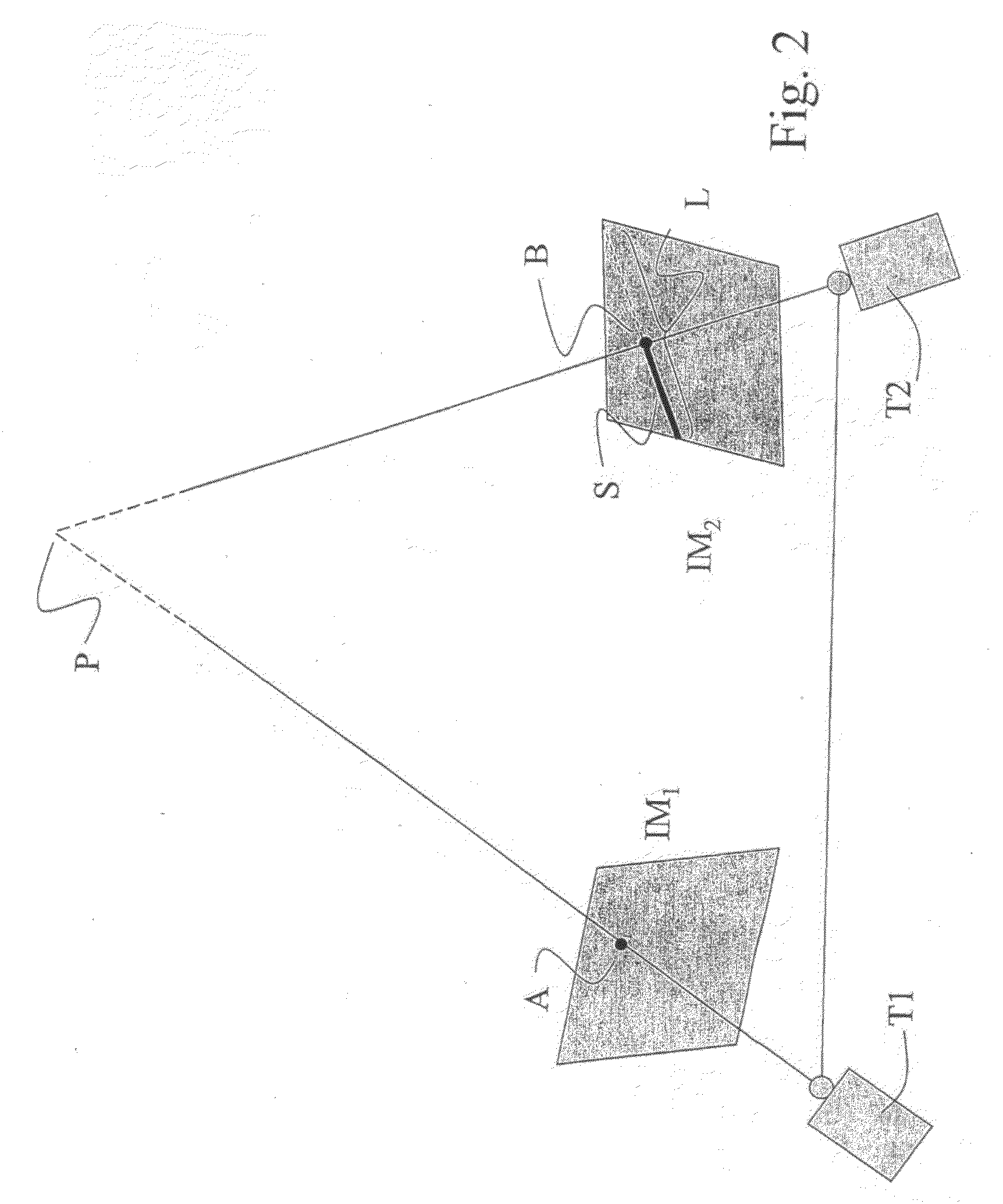 Method for Determining Scattered Disparity Fields in Stereo Vision
