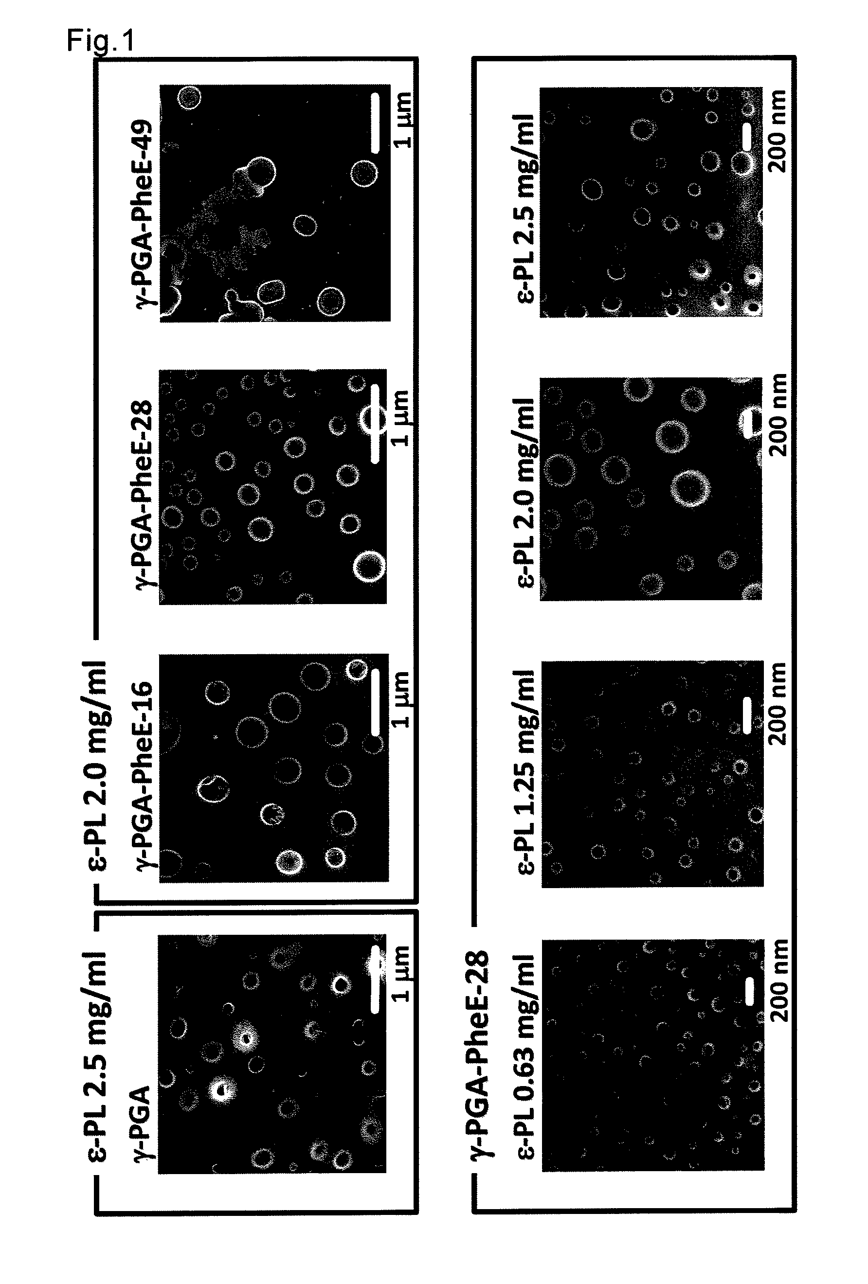 Polyion complex comprising hydrophobized polyamino acid and use of the same