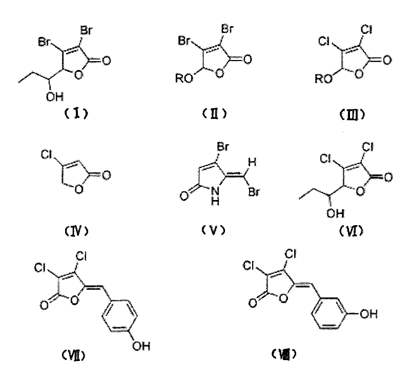 Halogenated furan ketone compound, and use thereof in antiinfective drug preparation