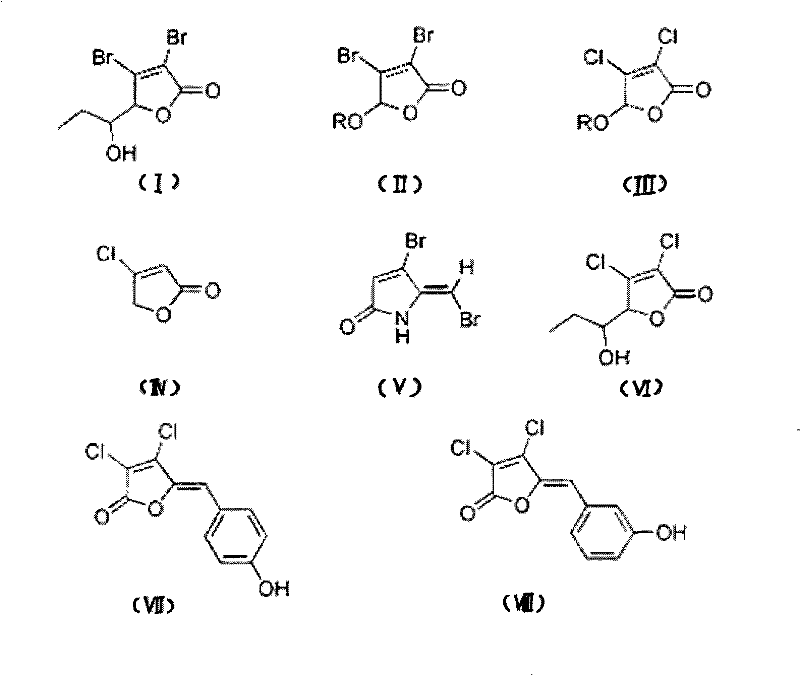 Halogenated furan ketone compound, and use thereof in antiinfective drug preparation