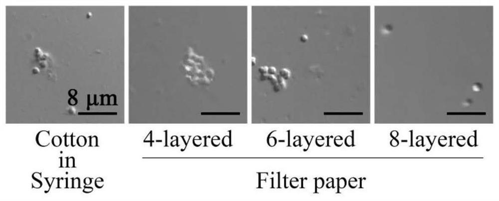 Application of high-throughput screening method using droplet micro-fluidic chip in actinomycetes