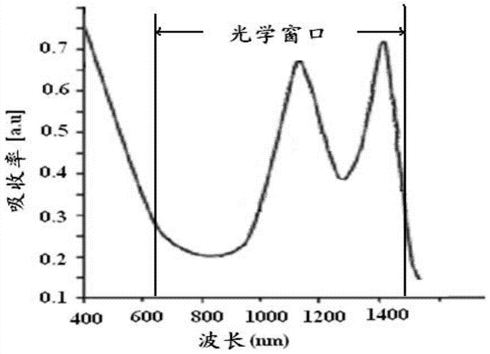 A kind of targeted mesoporous molecular imaging probe and preparation method thereof