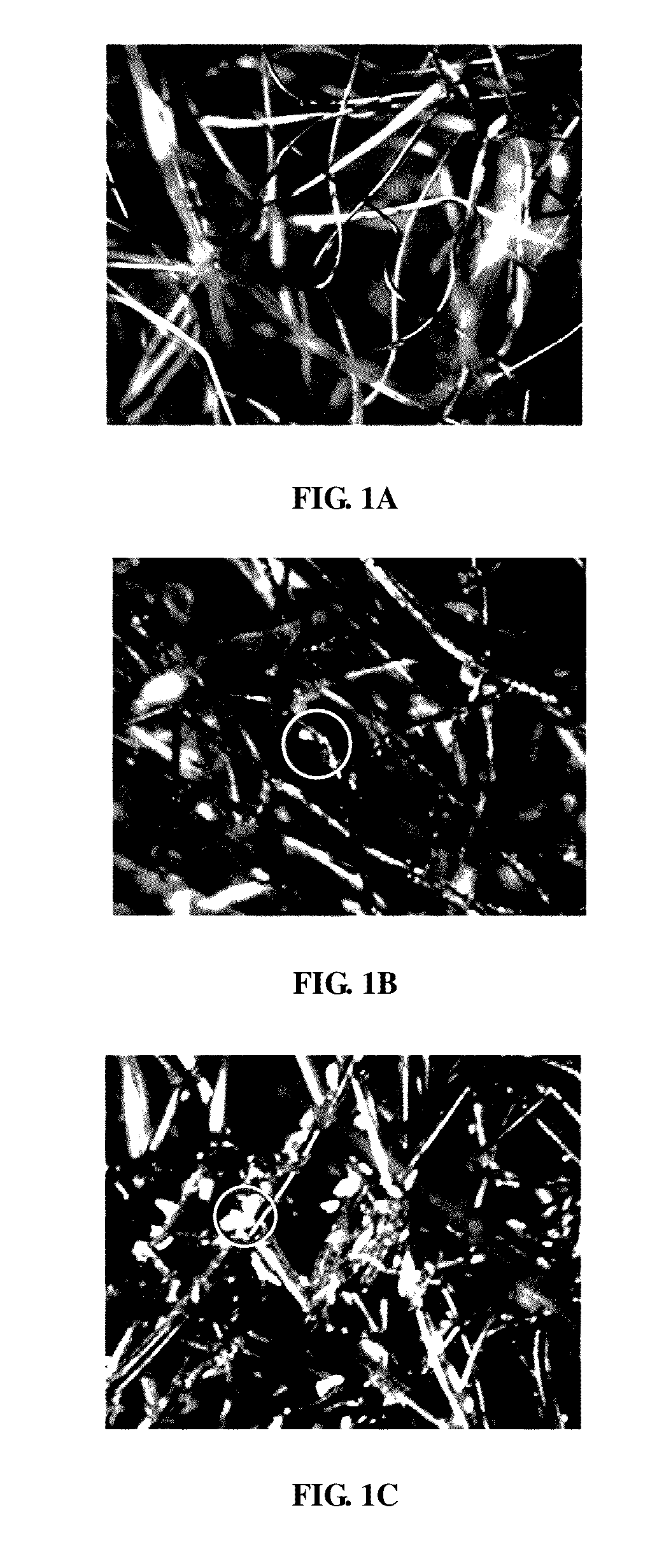 Sound absorbing and insulating material and method for manufacturing the same