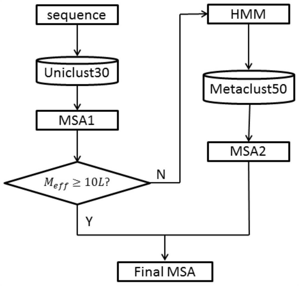 Macrogenome-based method for multiple-sequence alignment of proteins