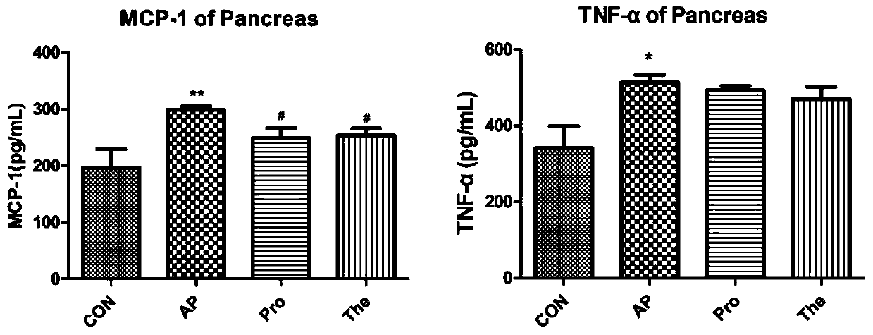 Application of α-lactose in the preparation of medicine for preventing and treating acute pancreatitis