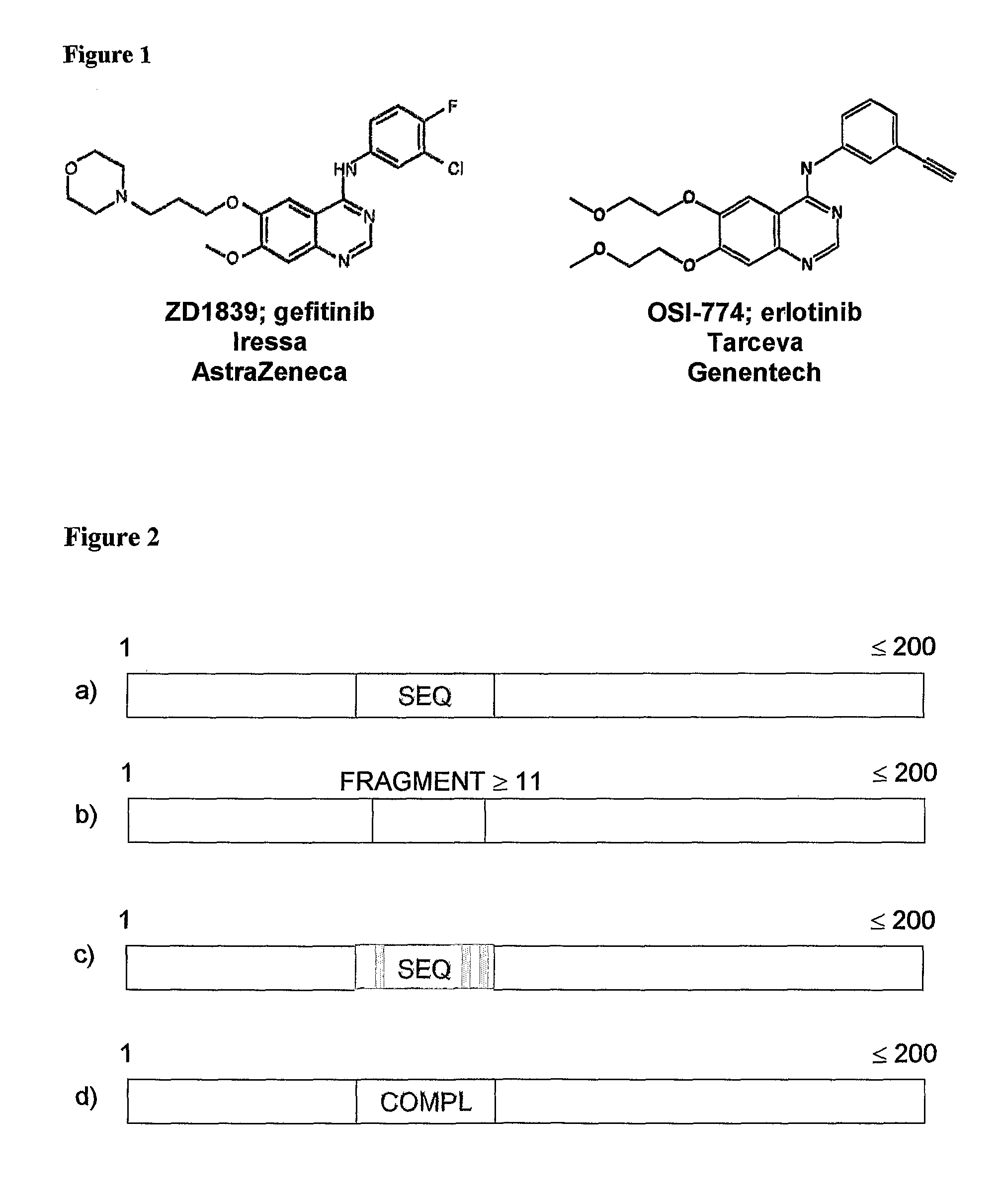 Methods and Compositions for Detecting a Drug Resistant Egfr Mutant
