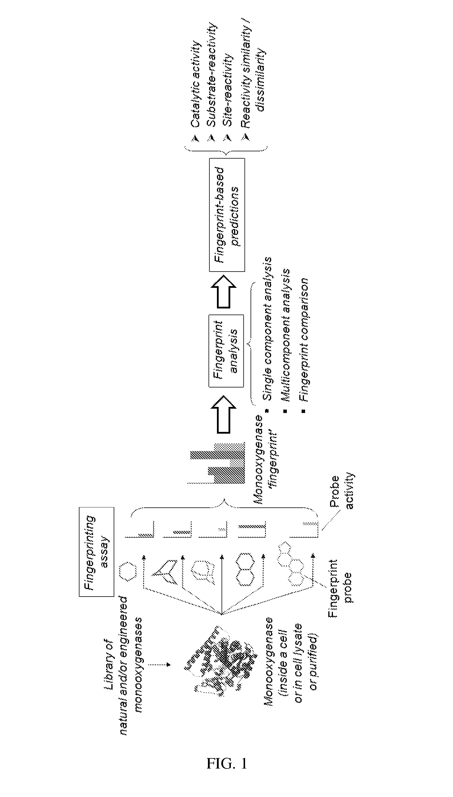 Methods and systems for evaluating and predicting the reactivity of monooxygenase enzymes