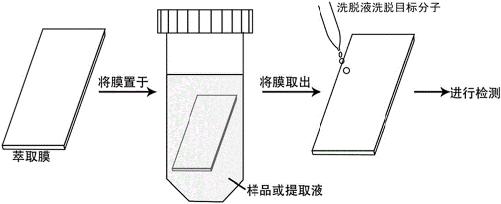 Preparation method of molecular imprinting solid phase extraction film with triphenylmethane molecule replacing malachite green, and application
