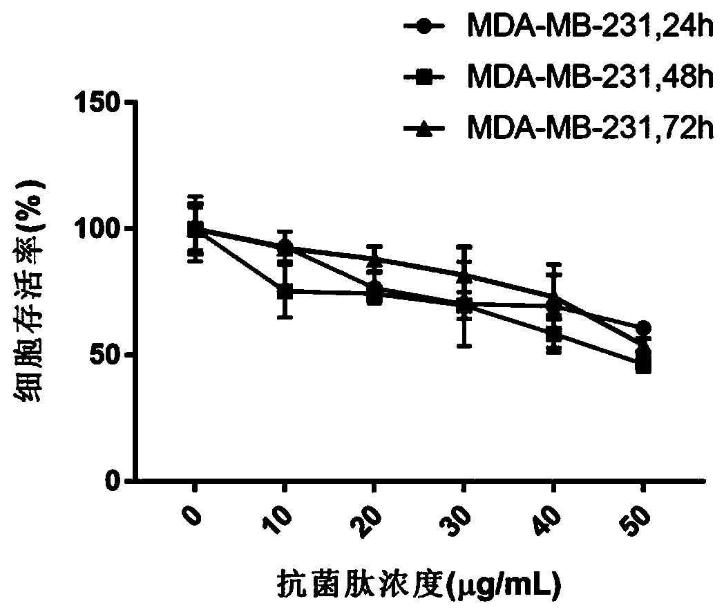 Application of antibacterial peptide Lchamp2-3 in anti-tumor cell proliferation medicine