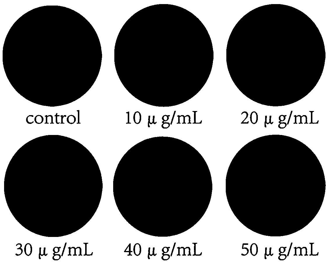 Application of antibacterial peptide Lchamp2-3 in anti-tumor cell proliferation medicine