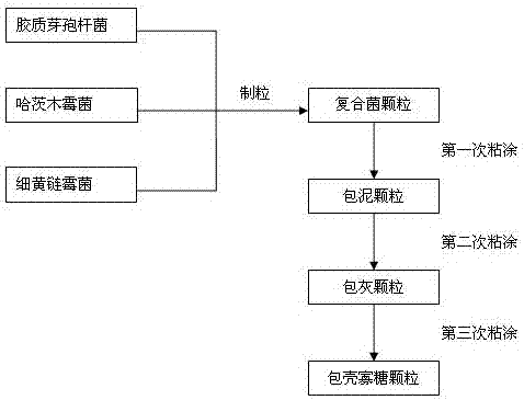 Production process for potato bacterial wilt resistant compound microbial agent