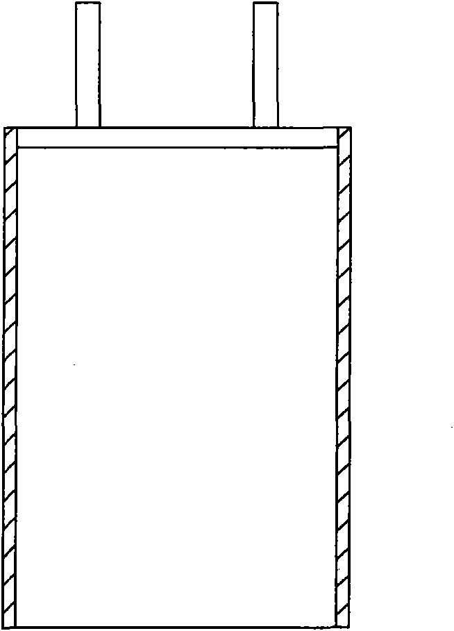 Power polymer lithium ion battery