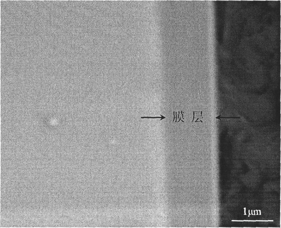 Method for preparing diamond-like coating on surface of biological medical NiTi alloy