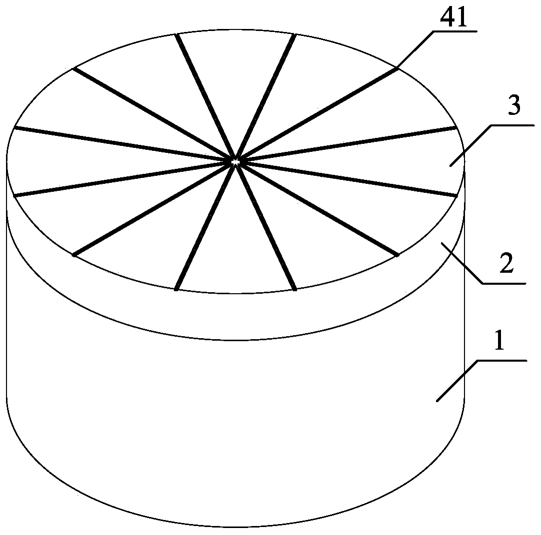 Polycrystalline diamond compact with anti-adhesion properties