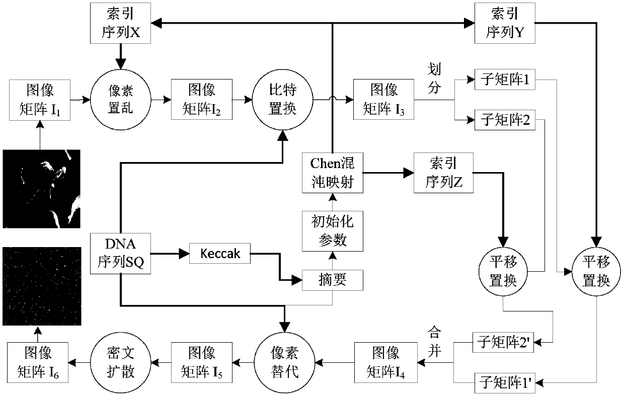 Chaotic Image Encryption Method Based on Bit Permutation and Dynamic DNA Coding