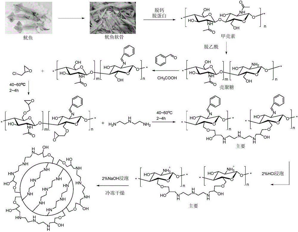 Cross-linked chitosan microspheres, and preparation method and application thereof