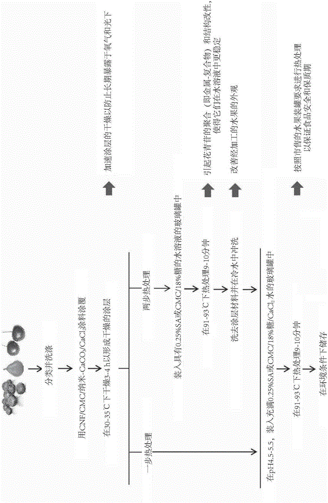 Nano-cellulose edible coatings and uses thereof