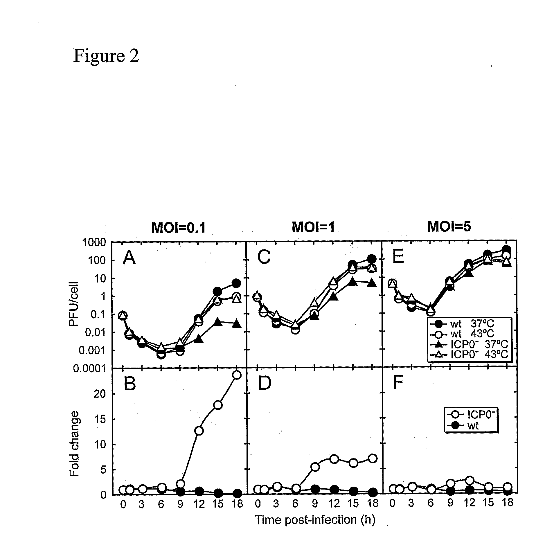 Methods for treating or preventing reactivation of a latent herpesvirus infection