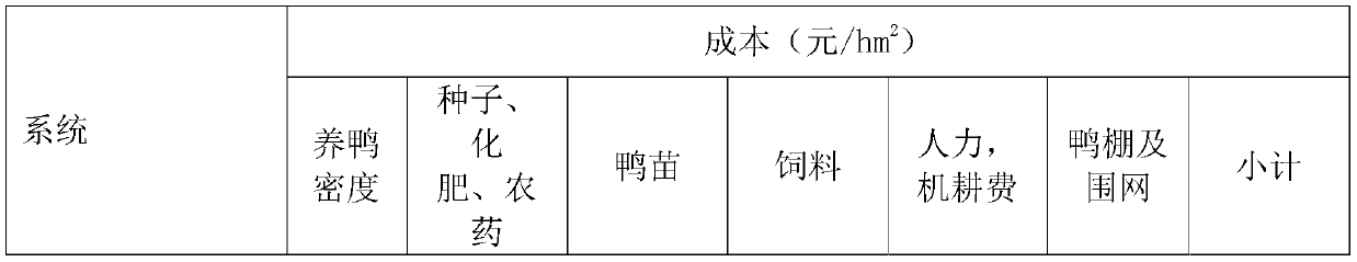 High-density duck raising system and method for raising ducks in paddy fields of early rice and ratooned rice