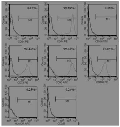 A kind of preparation method of medical cell repairing agent