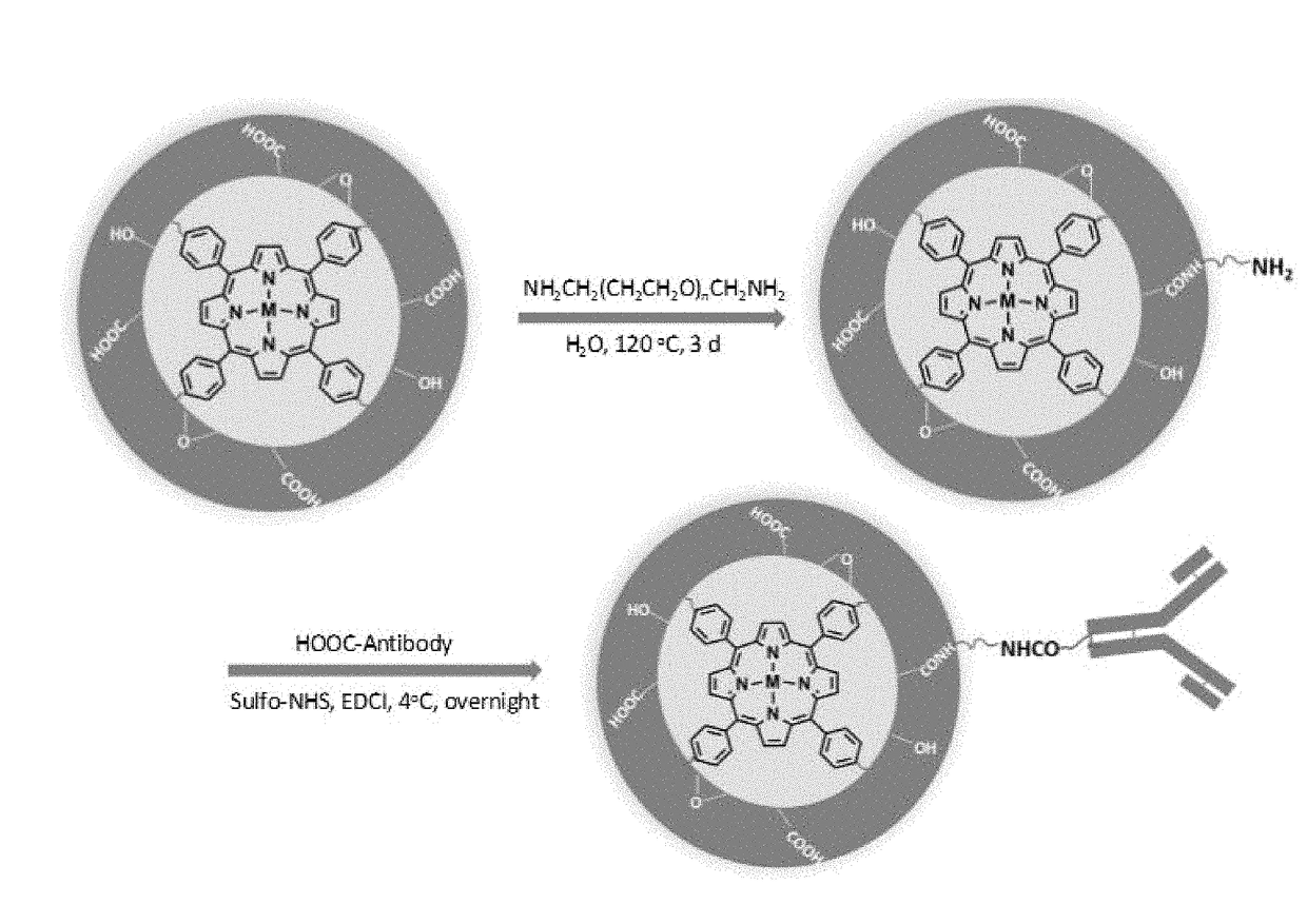 Conjugated Porphyrin Carbon Quantum Dots for Targeted Photodynamic Therapy