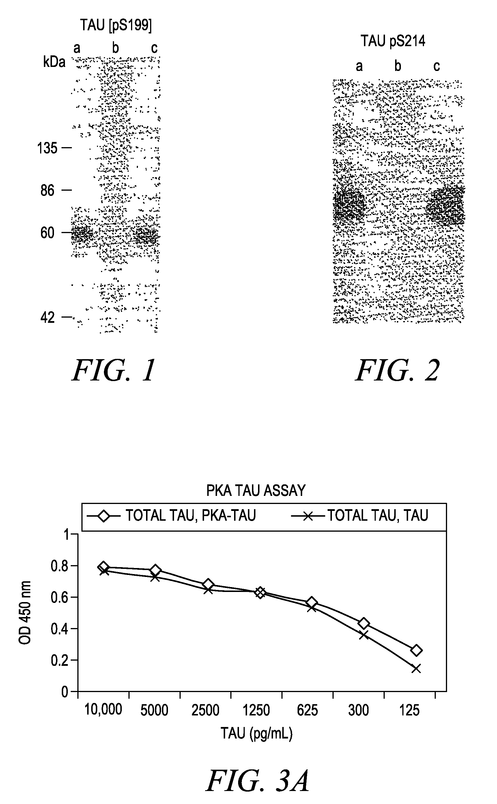 Method for quantifying phosphokinase activity on proteins