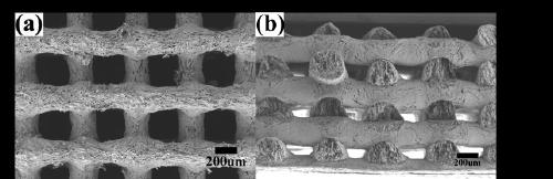 Method for preparing hydrogel wound dressing through low-temperature biological 3D printing technology