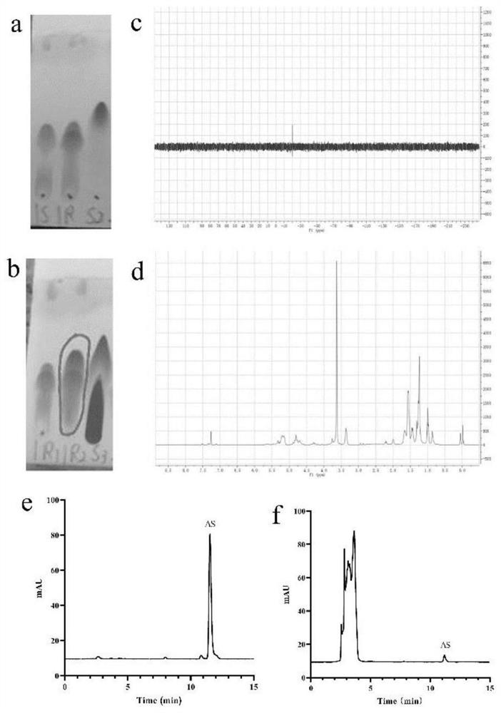 Arendronic acid modified astragaloside mPEG-PLGA nano-micelle and research on anti-osteoporosis effect of alendronic acid modified astragaloside mPEG-PLGA nano-micelle