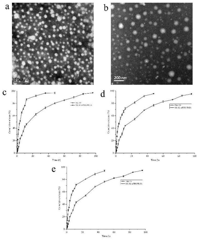 Arendronic acid modified astragaloside mPEG-PLGA nano-micelle and research on anti-osteoporosis effect of alendronic acid modified astragaloside mPEG-PLGA nano-micelle