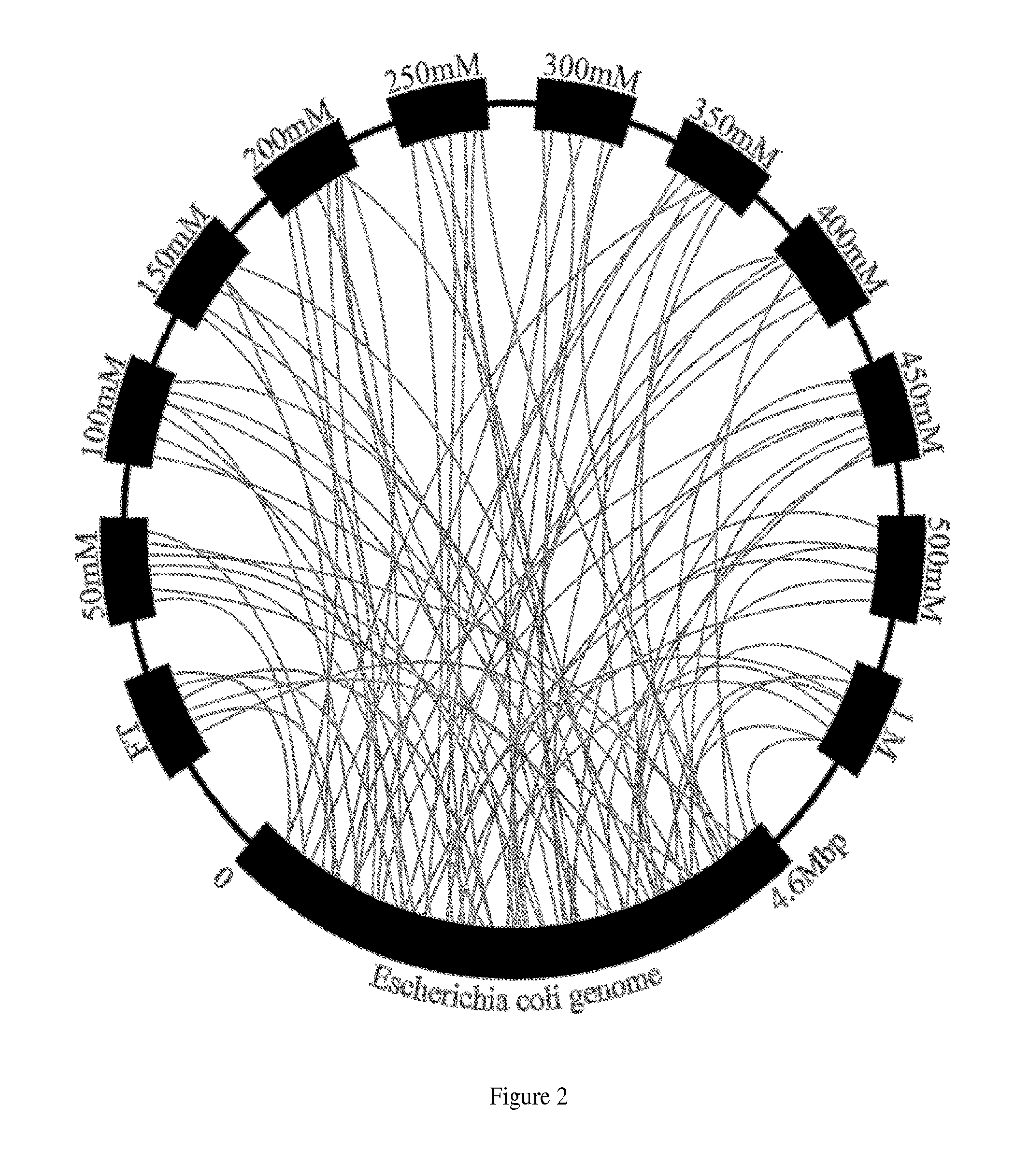 Separatome-based protein expression and purification platform