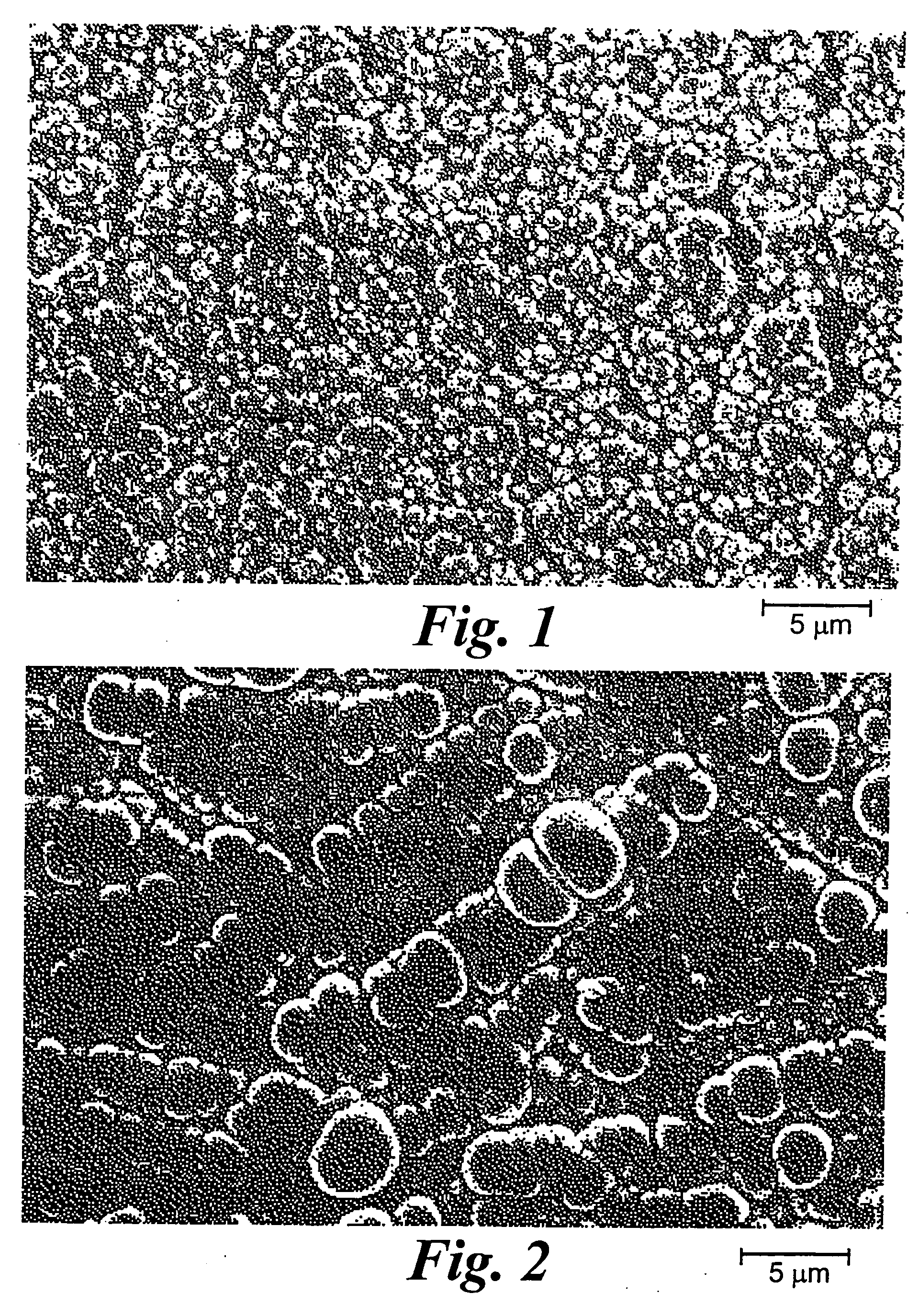 Adherent metal oxide coating forming a high surface area electrode