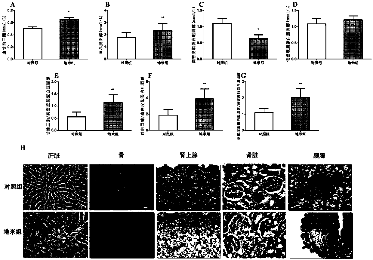 Fetal-origin metabolic syndrome animal model building method and application thereof