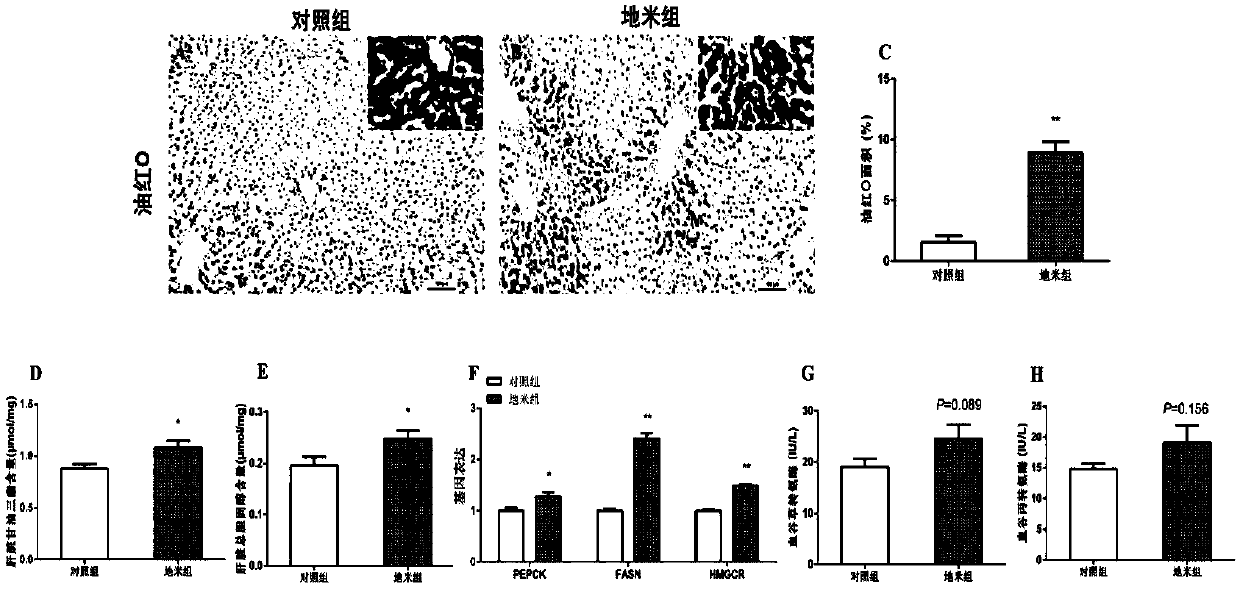 Fetal-origin metabolic syndrome animal model building method and application thereof