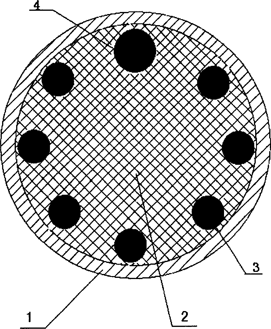 Composite stainless steel rod with rainforced structure and its mfg. method
