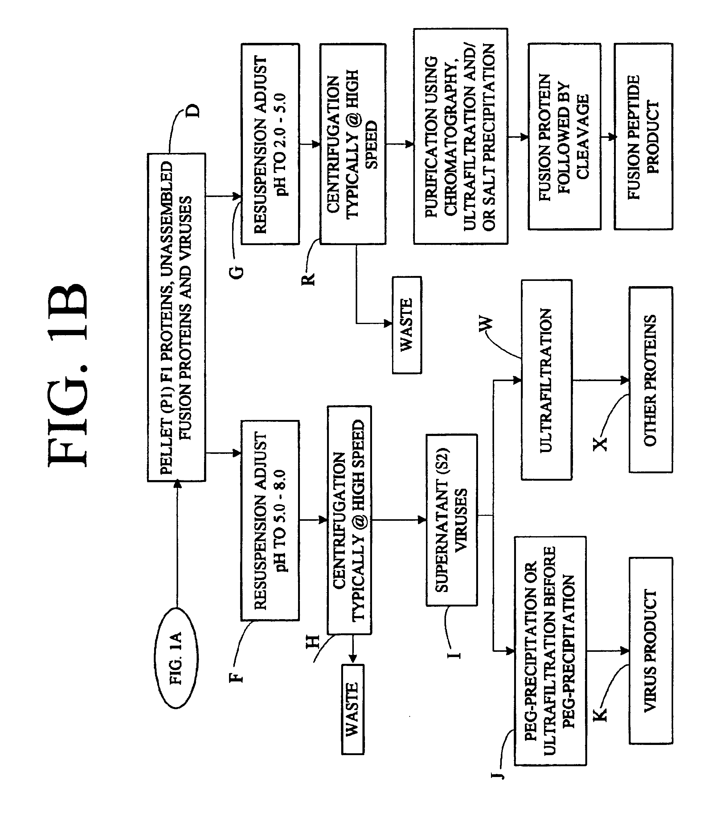 Flexible processing apparatus for isolating and purifying viruses, soluble proteins and peptides from plant sources