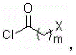 Ginkgolide B derivative based on double target spots of PAF (Platelet Activating Factor)/ROS (Reactive Oxygen Species), and preparation method of derivative