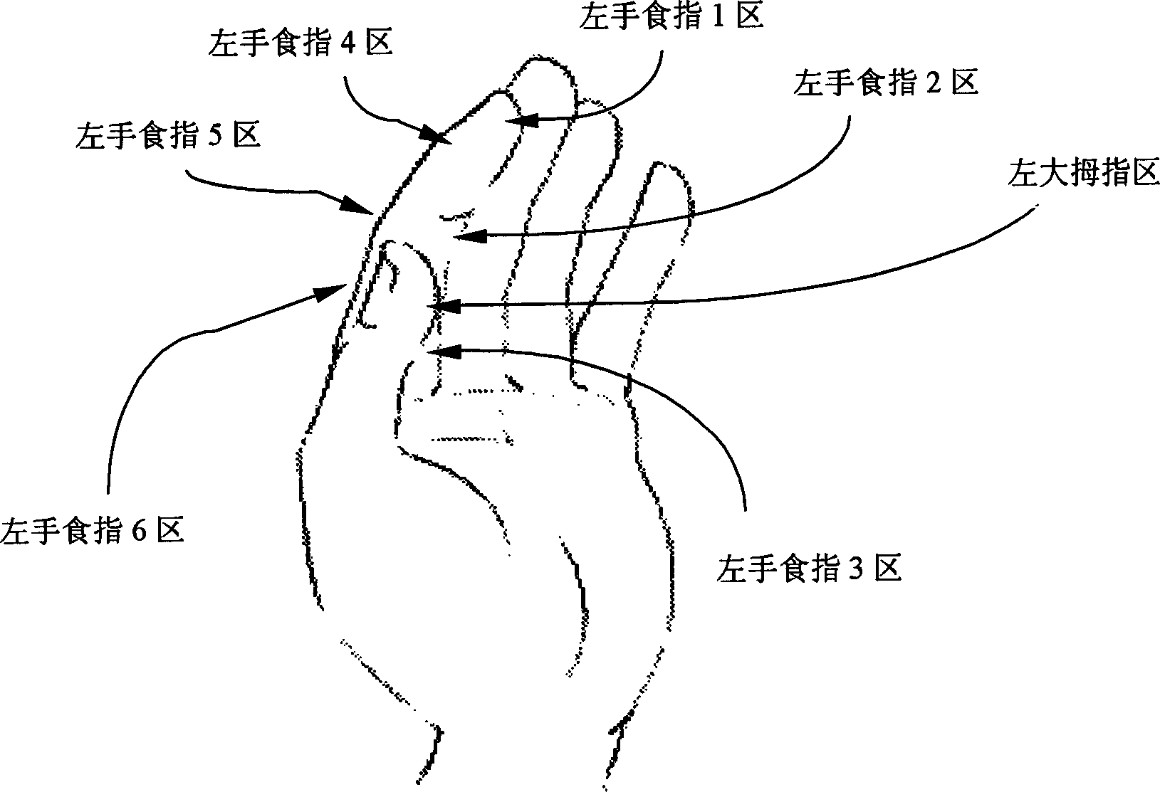 Input method of finger and palm type computer