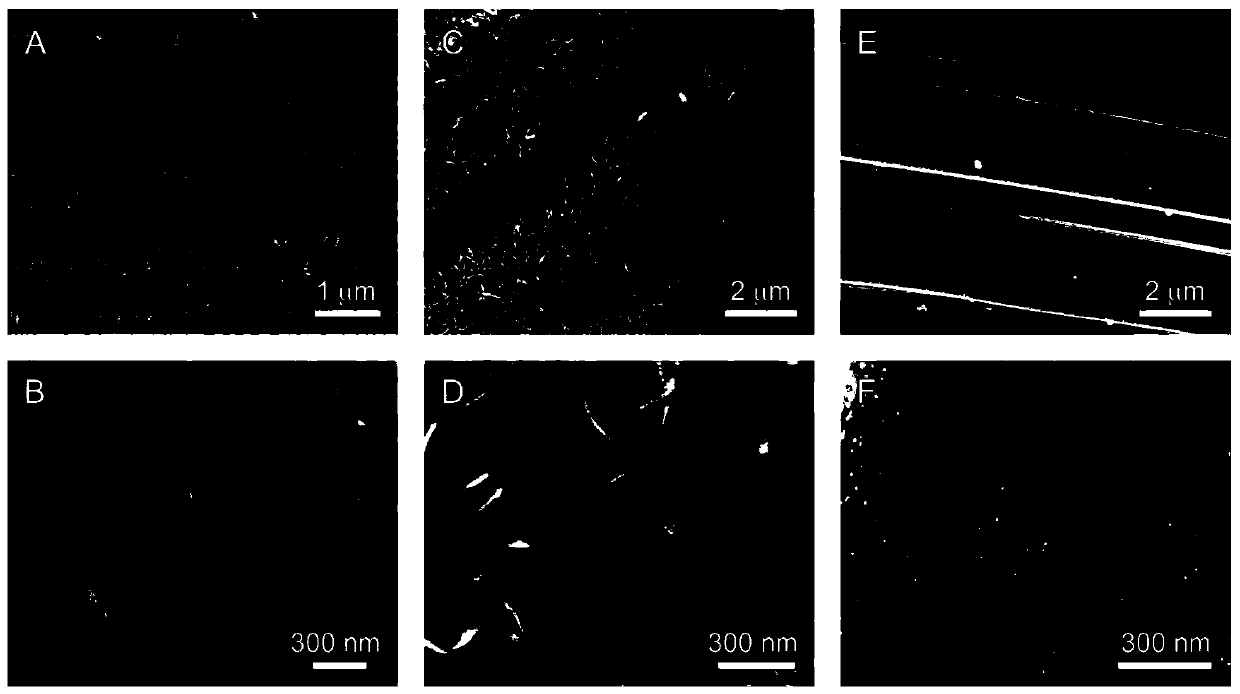 Nitrogen-doped carbon supported tin and tin oxide nano composite material as well as preparation and application thereof