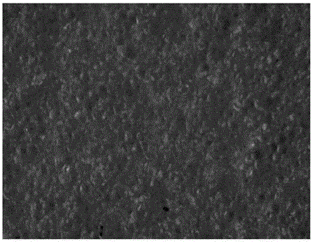 Polyurethane foaming material and preparation method thereof