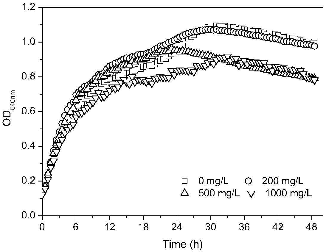 A method for joint treatment of lead ion pollution by using carbonate mineralizing bacteria-thiobacillus denitrification