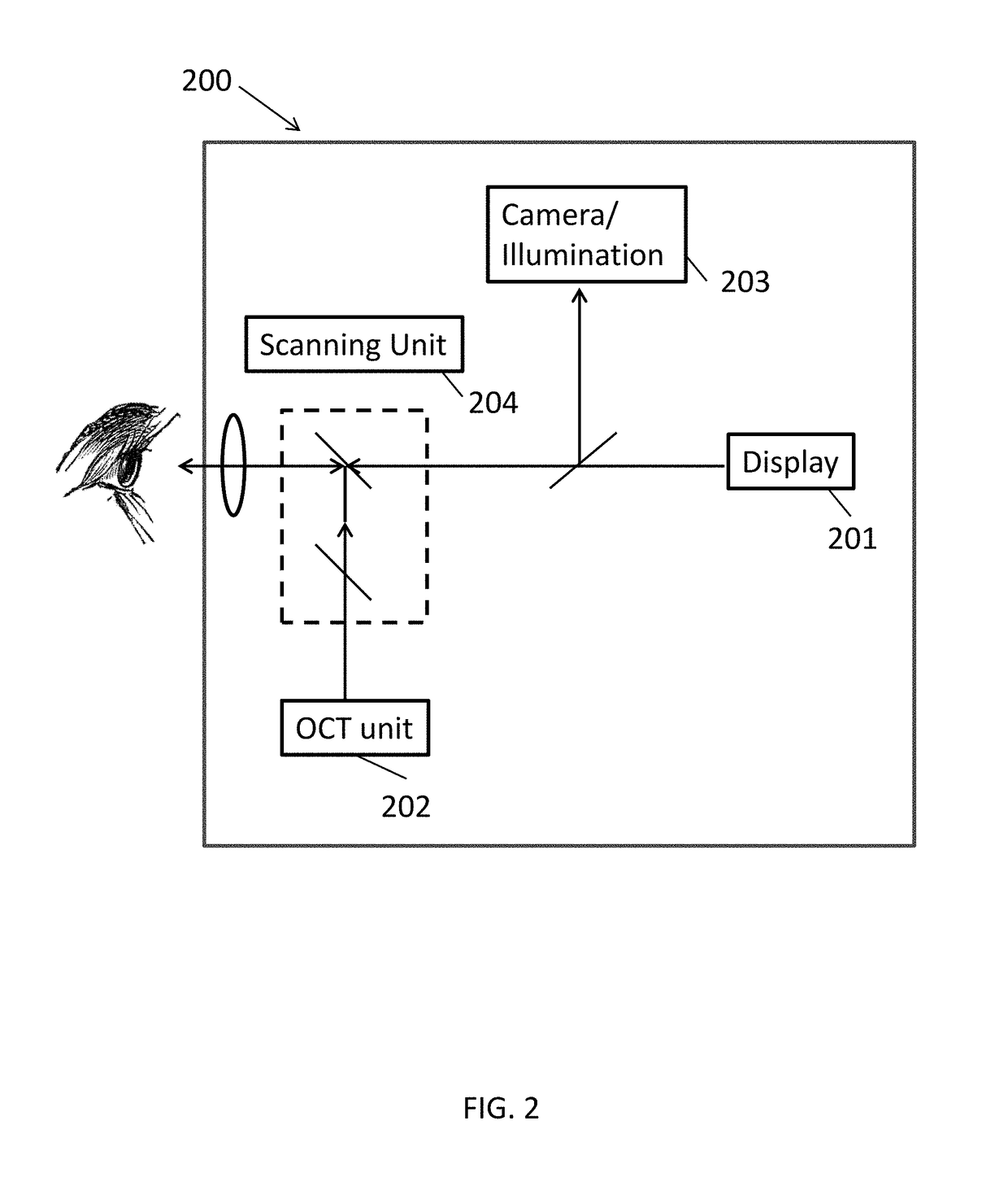 Systems and methods for combined structure and function evaluation of retina
