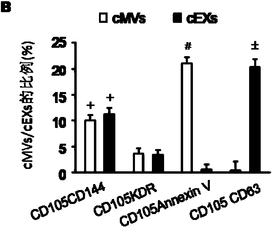 Application of reagents for detecting cd105, cd144, cd34, kdr, annexin V and CD63 in preparation of reagents for detecting extracellular vesicles released by endothelial and endothelial progenitor cells in blood