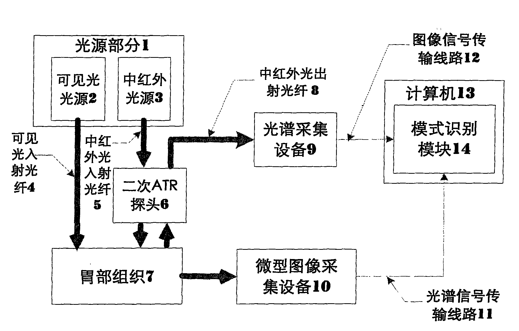 Device for noninvasively detecting property of stomach tissue