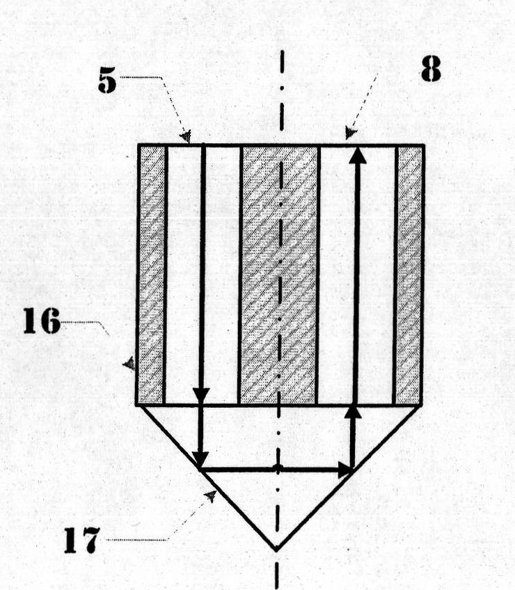 Device for noninvasively detecting property of stomach tissue