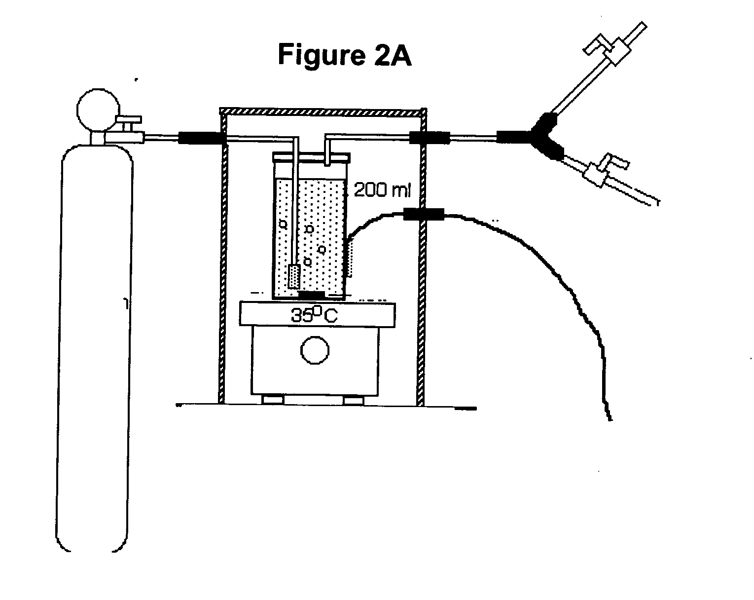 Methods and apparatus for patient monitoring
